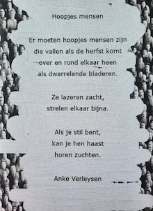 Werk Anke Verleysen